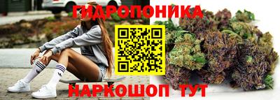 гидропоника Канаш