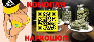 гидропоника Канаш