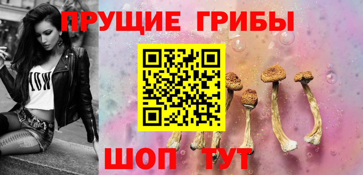 наркошоп  Псилоцибиновые грибы GOLDEN TEACHER  Кудымкар  Вход с VPN  Галлюциногенные грибы ЛСД 